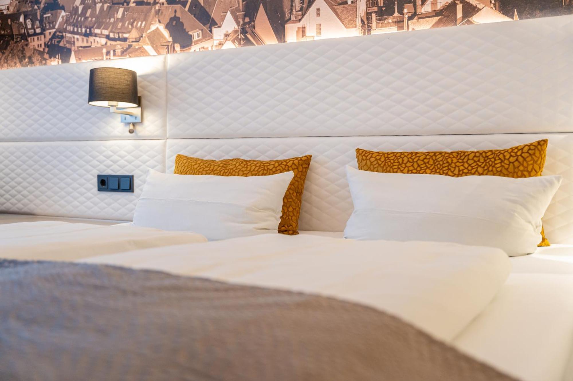 Boutiquehotel Am Stadtgarten Freiburg im Breisgau Eksteriør billede